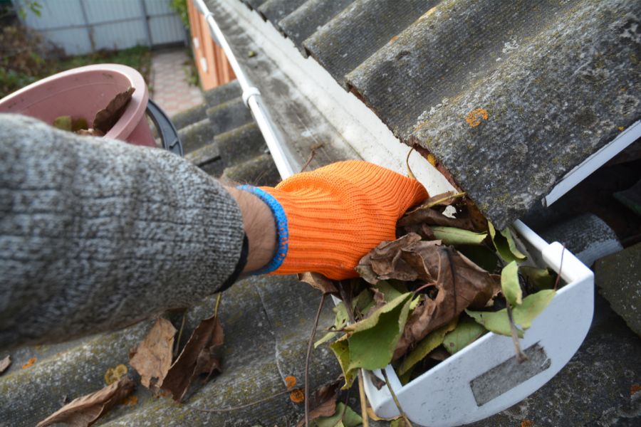 Gutter Cleaning From Coastal Breeze Softwash