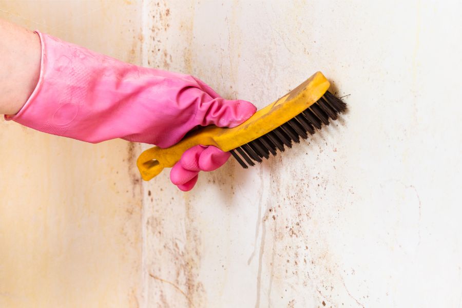 Stucco Cleaning From Coastal Breeze Softwash